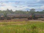 TCBX 305821